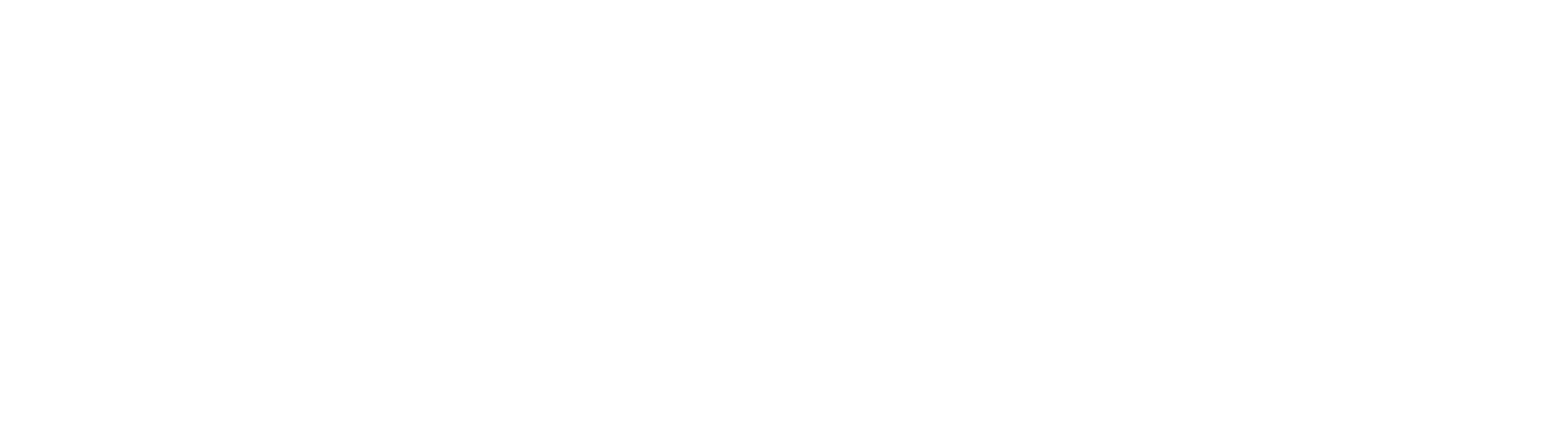 Bixler Financial